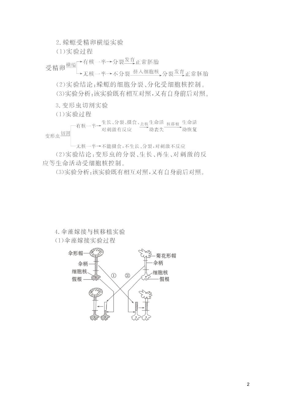 高考生物一轮复习 3.3 细胞核—系统的控制中心精品学案 新人教版必修1_第2页