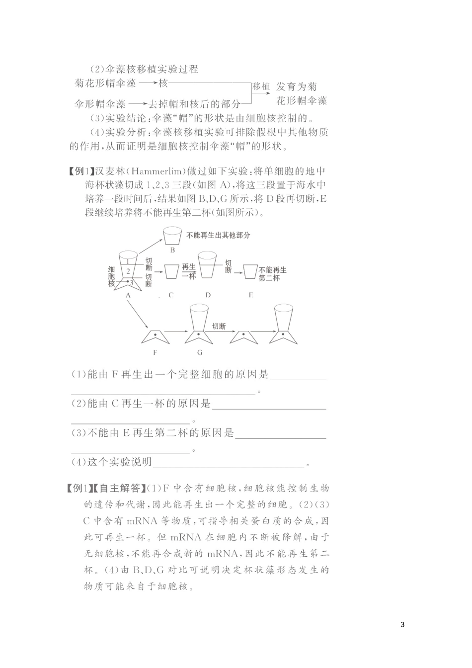 高考生物一轮复习 3.3 细胞核—系统的控制中心精品学案 新人教版必修1_第3页
