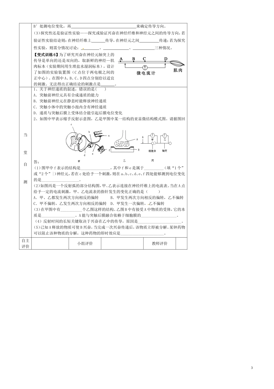 高中生物 2.1通过神经系统的调节（第3课时）导学案 新人教版必修3-新人教版高二必修3生物学案_第3页