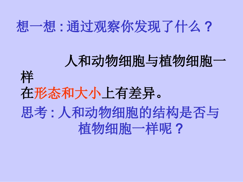 第二节_人和动物细胞的结构和功能_第3页