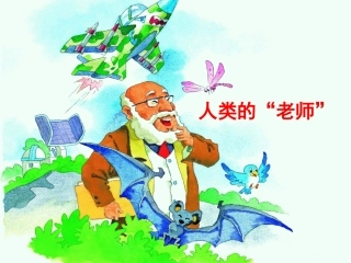 《人类的老师》课件