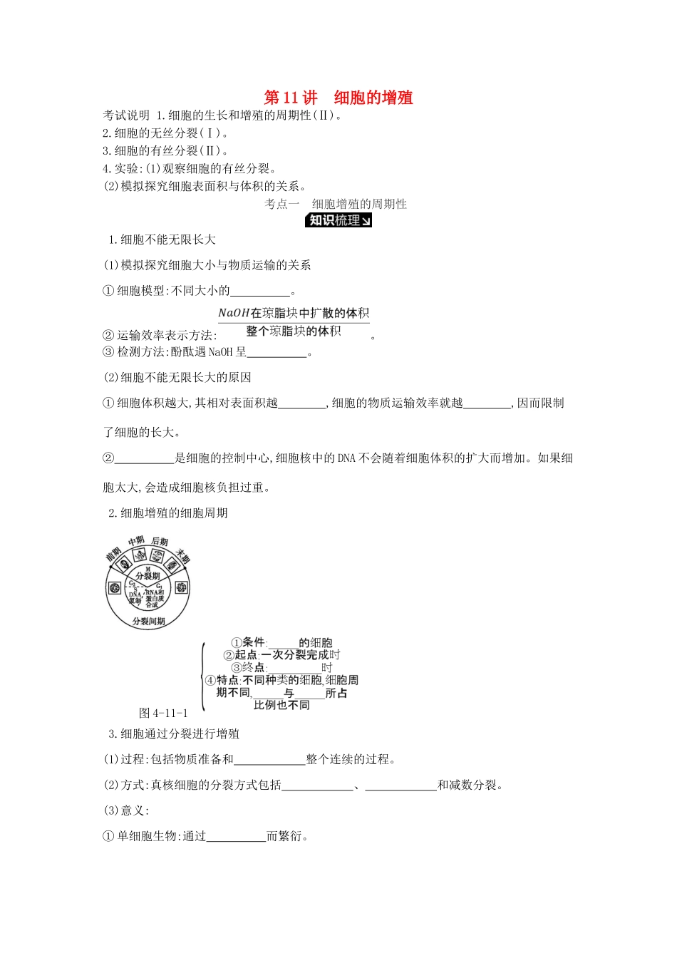 高考生物一轮复习 第4单元 细胞的生命历程 第11讲 细胞的增殖学案 苏教版-苏教版高三全册生物学案_第1页