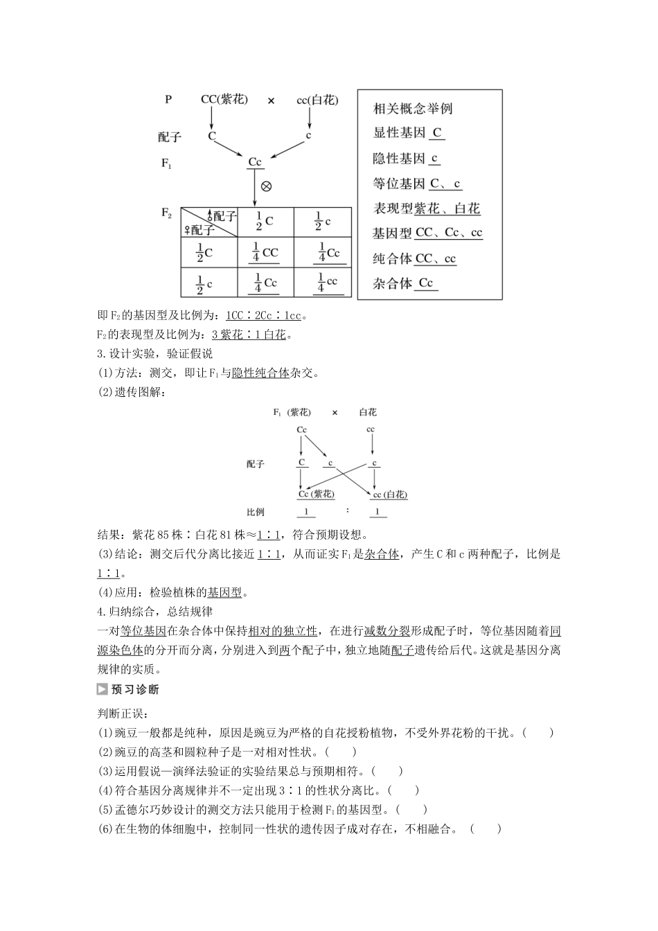 高中生物 2.1.1-2 孟德尔遗传试验的科学方法 分离规律试验学案 中图版必修2-中图版高中必修2生物学案_第2页