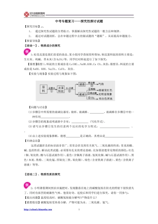 中考专题复习——探究性探讨试题教案