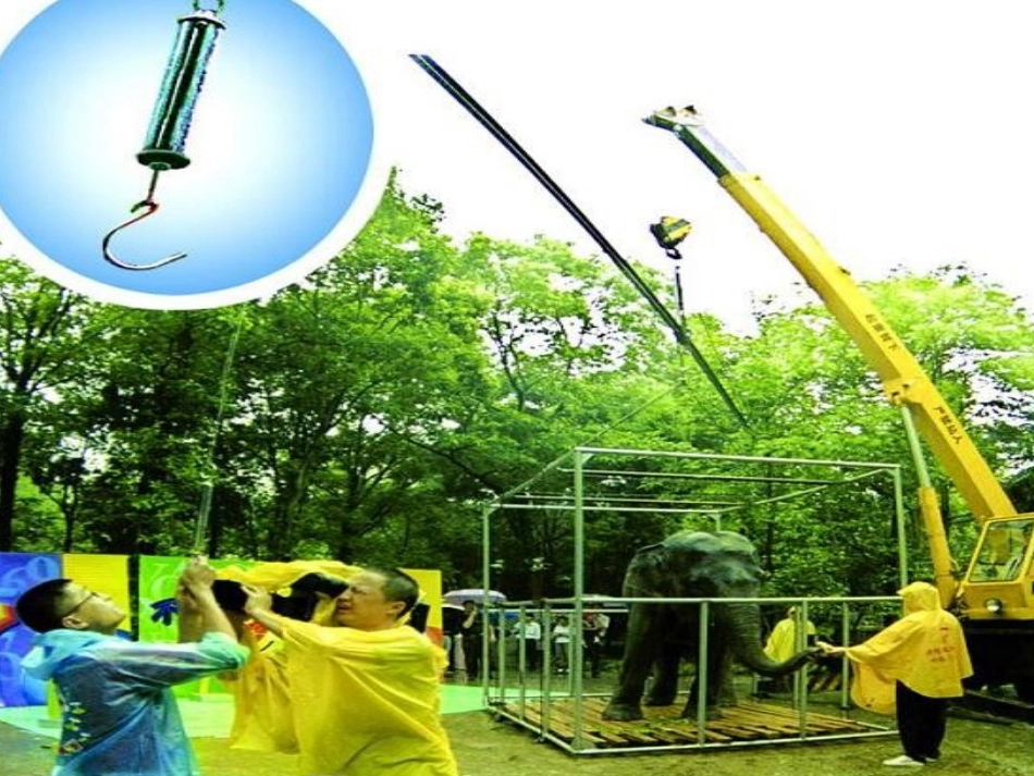 杠杆第一课时_第3页