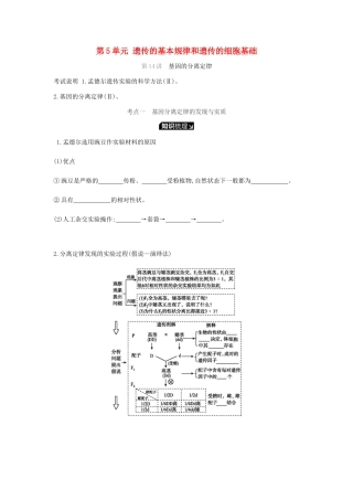 高考生物一轮复习 第5单元 遗传的基本规律和遗传的细胞基础听课学案-人教版高三全册生物学案