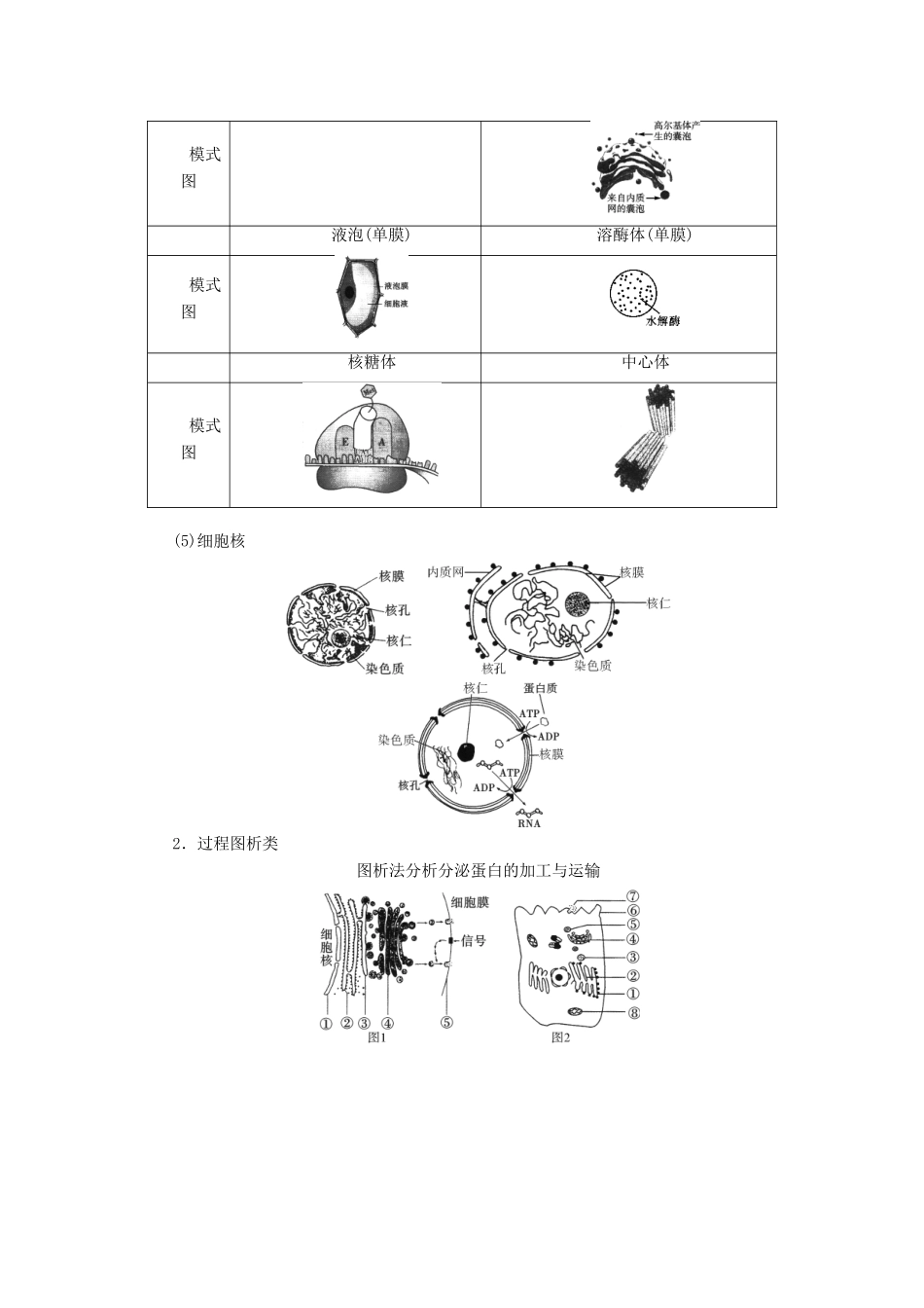 高考生物大一轮复习 第9讲 细胞的结构和功能、物质运输的解题策略优选学案-人教版高三全册生物学案_第2页