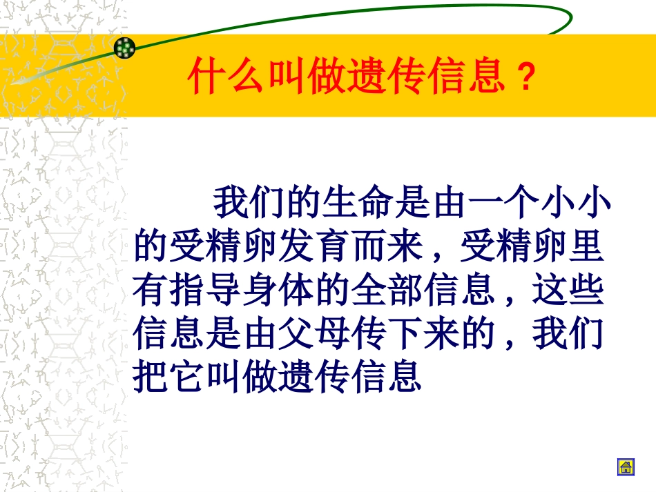 初中一年级生物课件《细胞核是遗传信息库》生物资料_第3页