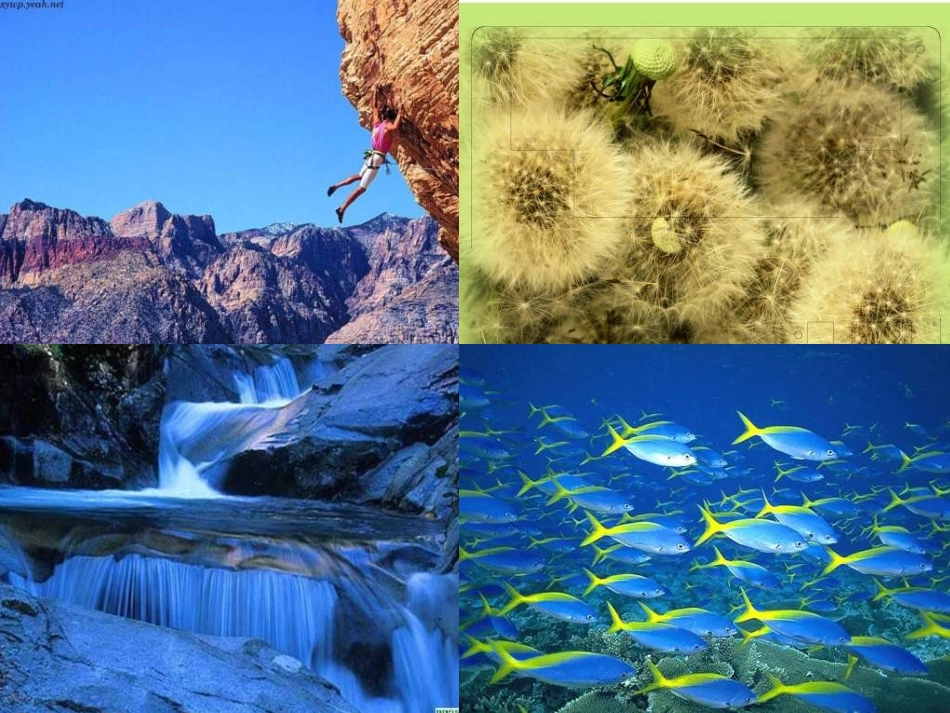 第一节《运动、空间和时间》课件_第3页