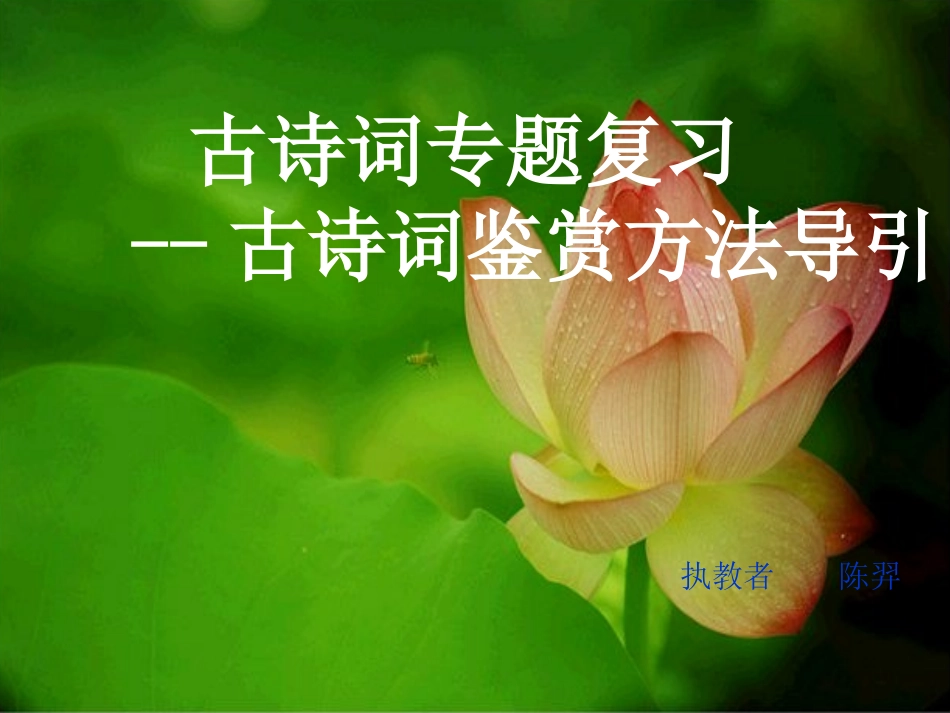 中考古诗词鉴赏方法_第1页