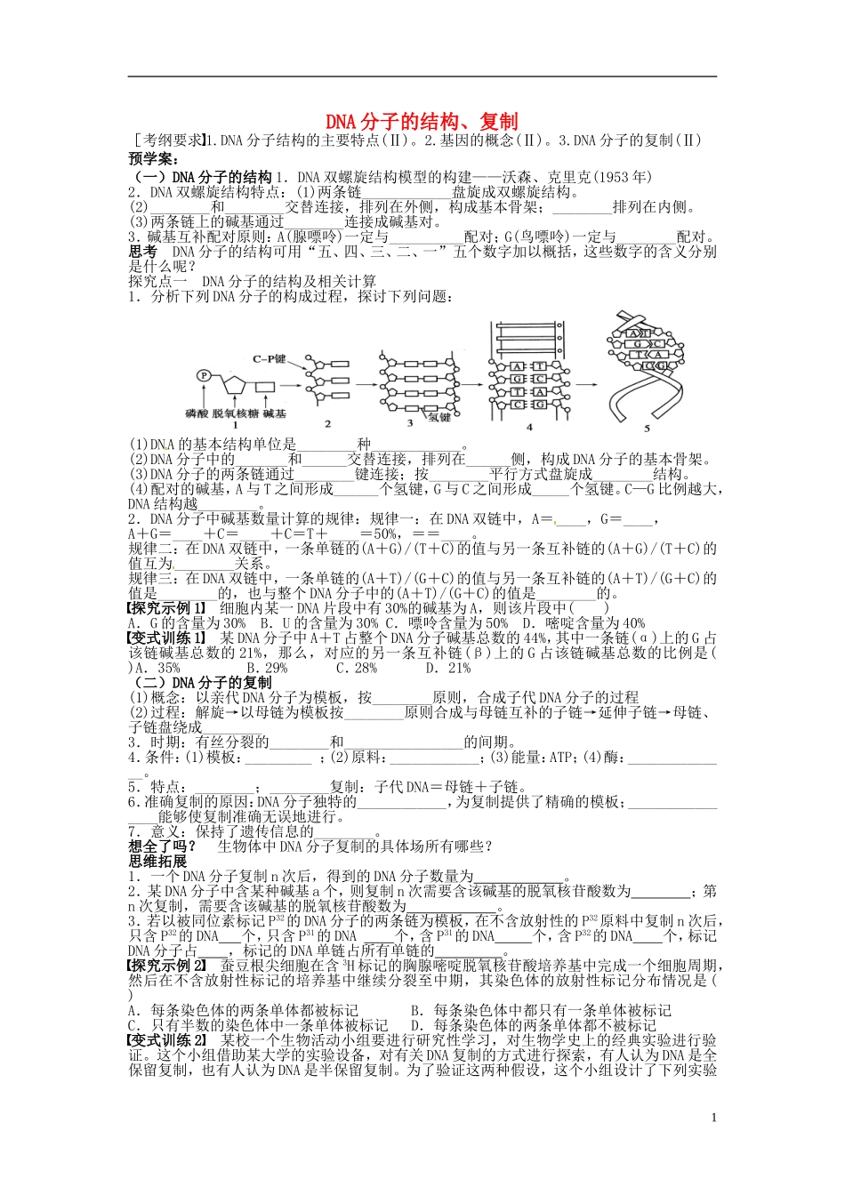 高三生物一轮复习 DNA的结构和复制学案-人教版高三全册生物学案_第1页