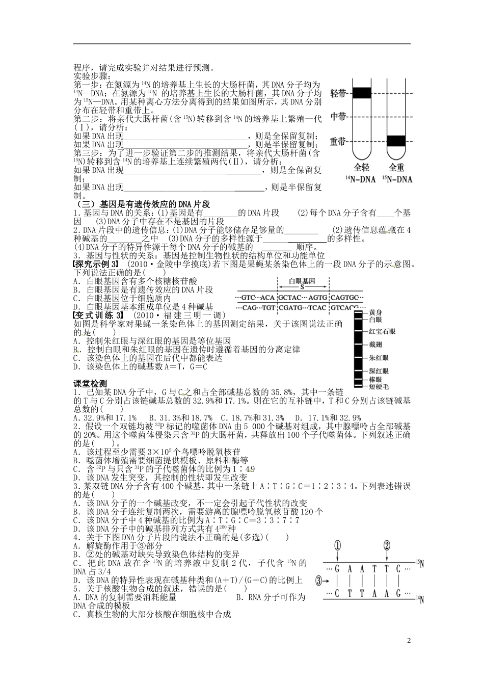 高三生物一轮复习 DNA的结构和复制学案-人教版高三全册生物学案_第2页