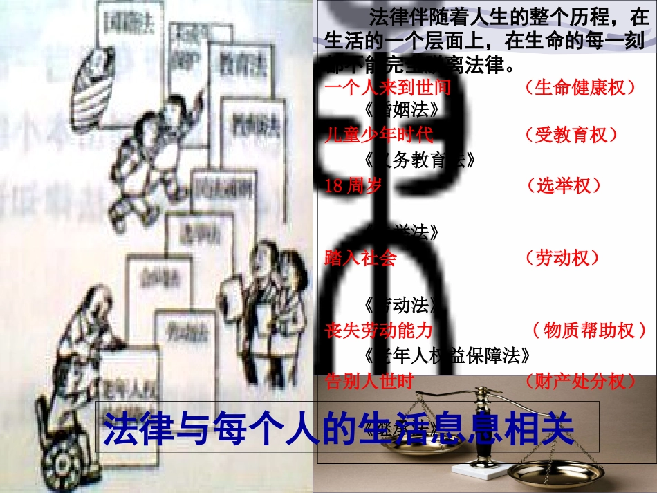 第一节生活中的法律保护_第2页