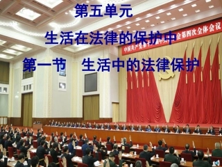 第一节生活中的法律保护