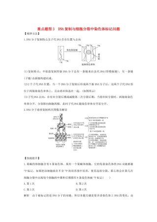 高考生物总复习 第二部分 选择题必考五大专题 专题三 遗传的分子基础 重点题型3 DNA复制与细胞分裂中染色体标记问题学案-人教版高三全册生物学案
