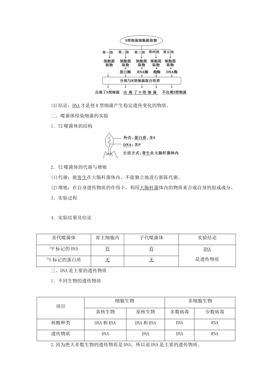 高中生物 第3章 基因的本质 第1节 DNA是主要的遗传物质学案 新人教版必修第二册-新人教版高一第二册生物学案_第2页