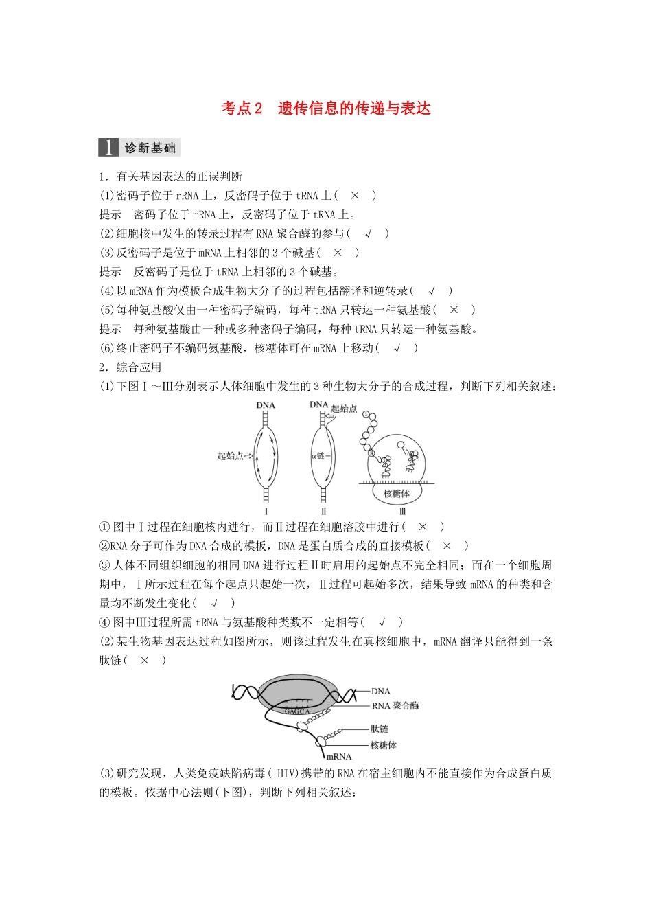 （浙江选考）高三生物二轮专题复习 专题六 遗传的物质基础 考点2 遗传信息的传递与表达学案 新人教版-新人教版高三全册生物学案_第1页