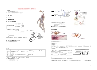 高考生物 通过神经系统的调节复习学案 新人教版必修3