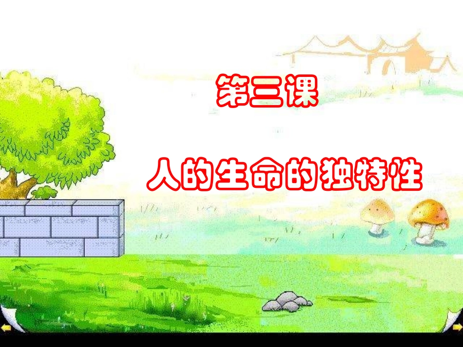 人的生命的独特性_第1页