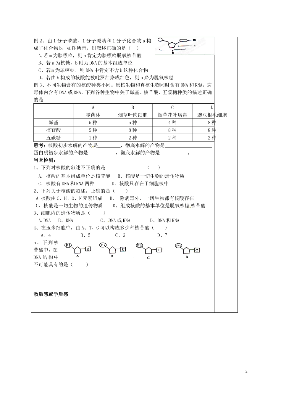 高中生物 2.3遗传信息的携带者-核酸课内探究案 新人教版必修1-新人教版高一必修1生物学案_第2页