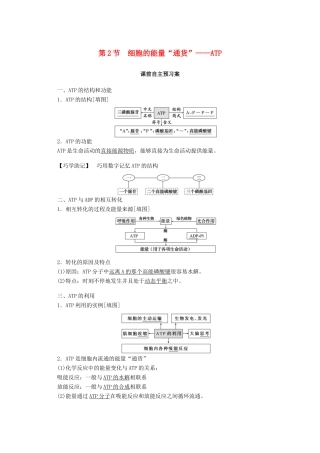 高中生物 5.2 细胞的能量“通货”——ATP学案 新人教版必修1-新人教版高中必修1生物学案