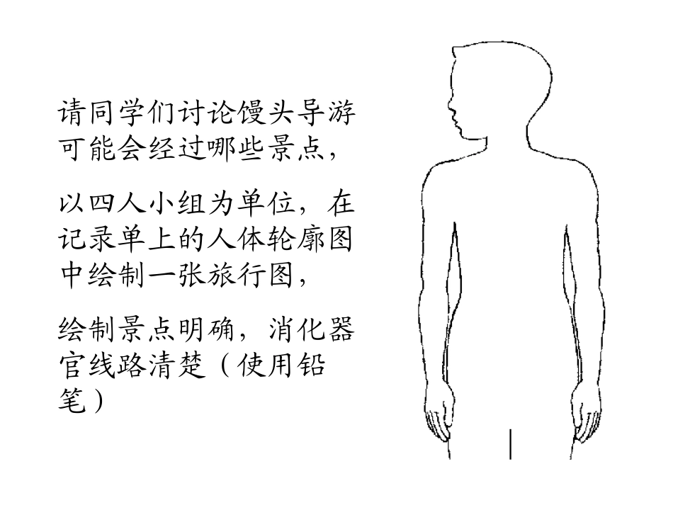 食物在体内的旅行_第3页
