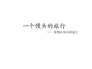 食物在体内的旅行