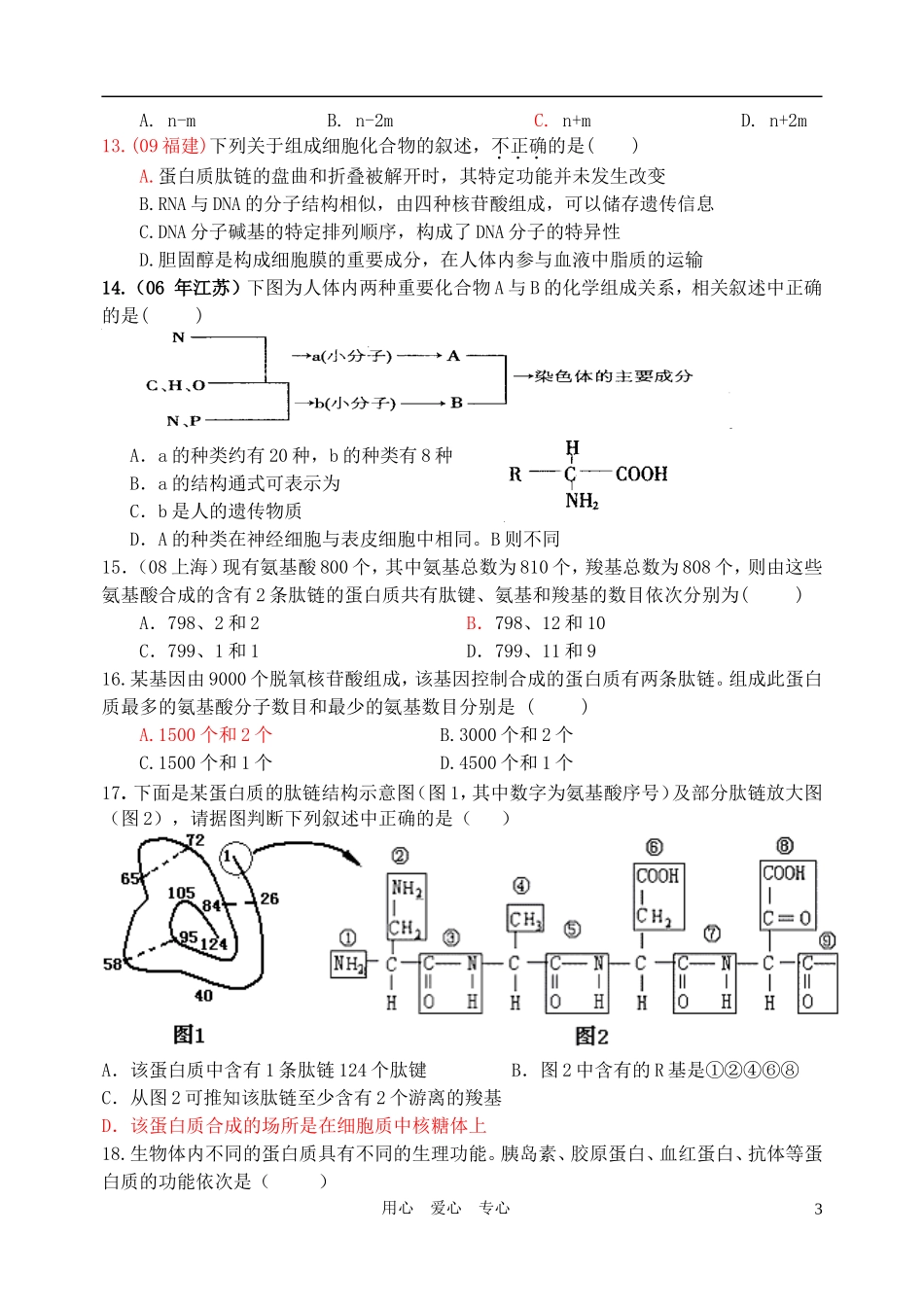 高三生物一轮复习 蛋白质导学案 新人教版_第3页
