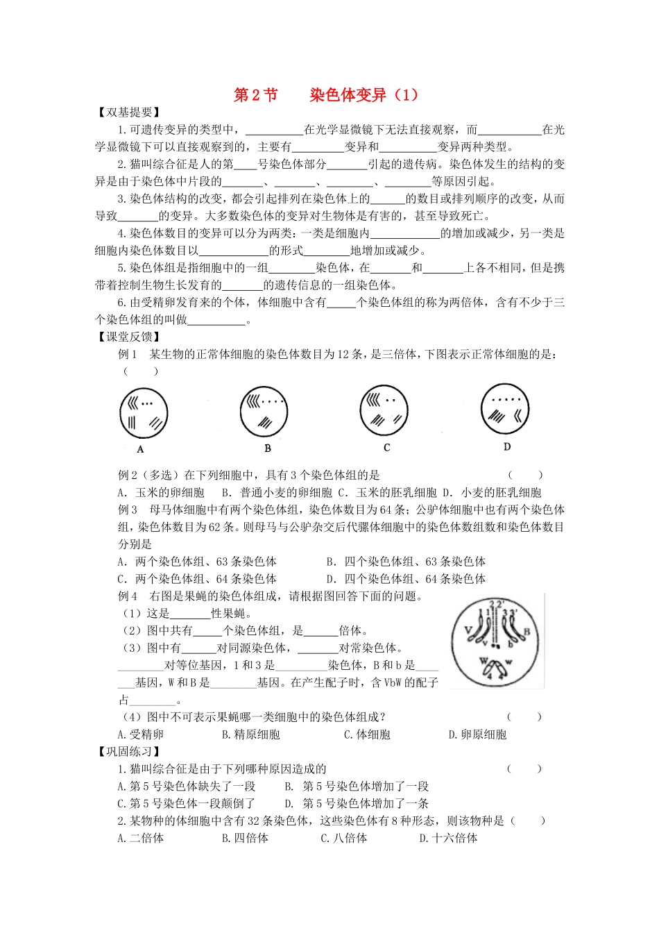 高三生物：5.2《染色体变异》学案（新人教版）_第1页