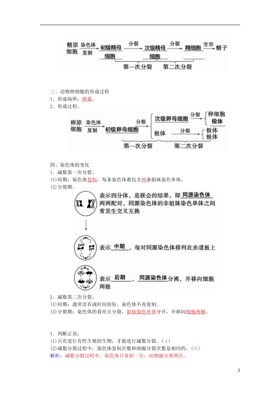 高中生物 第2章 第1节 减数分裂和受精作用 一、减数分裂学案 新人教版必修2-新人教版高一必修2生物学案_第2页