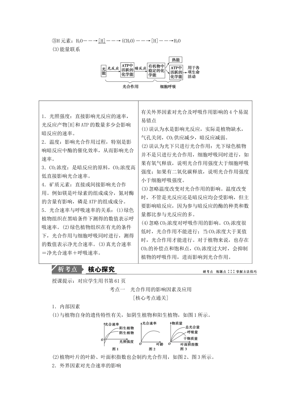 高考生物一轮复习 第三单元 细胞的能量供应和利用 第四讲 能量之源——光与光合作用（二）学案 新人教版-新人教版高三全册生物学案_第2页