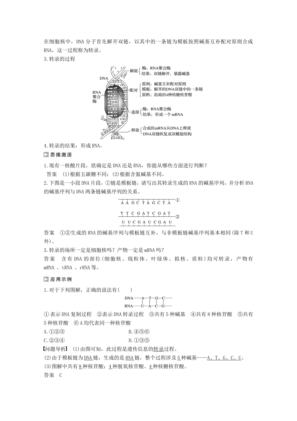 高中生物 3.2.2 基因的表达学案 中图版必修2-中图版高中必修2生物学案_第3页