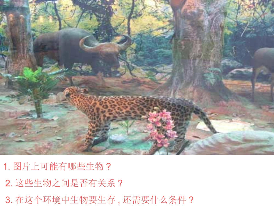 插一区—徐艳灵《生态系统的概述》课件_第3页