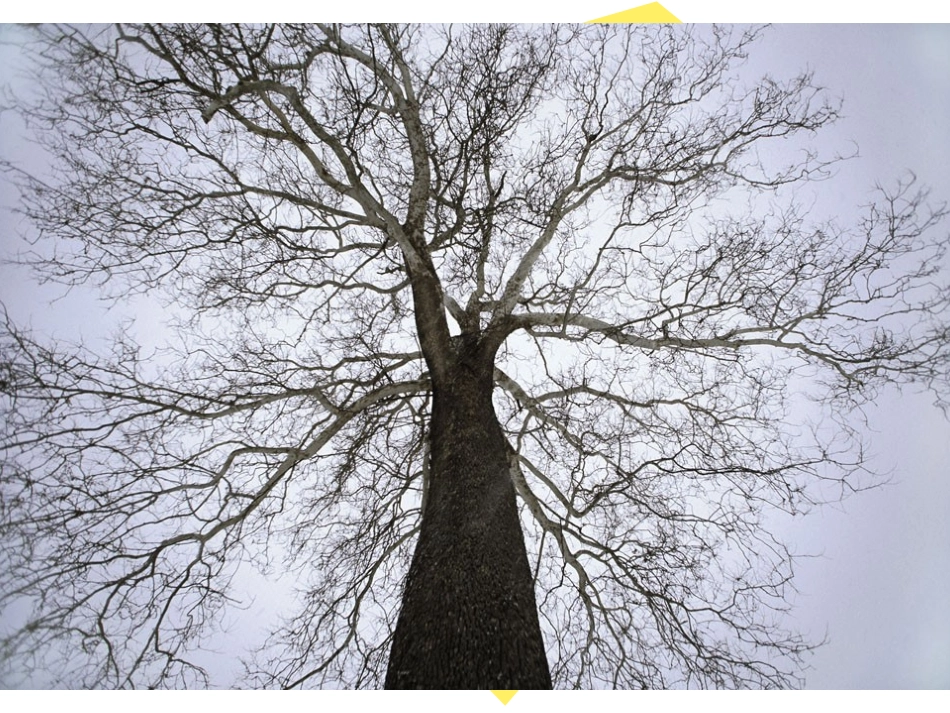 《最后的姿势》PPT课件第六课_第1页