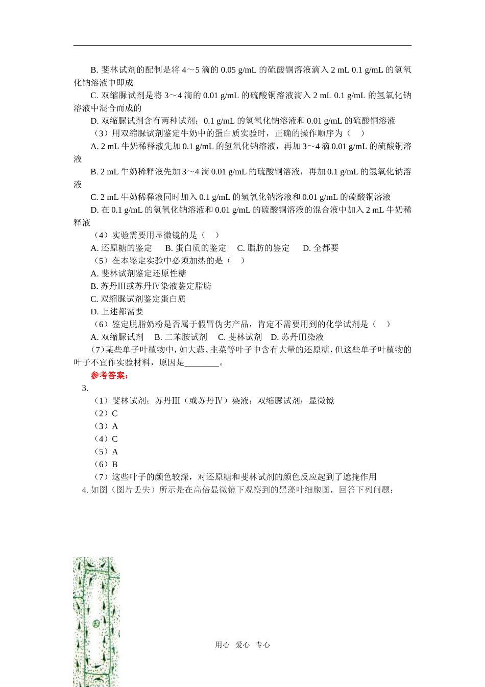 高考实验复习学案_第3页