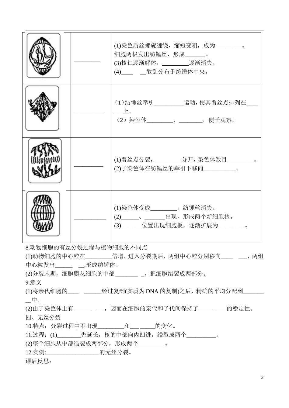 高中生物 《细胞的增殖》学案（1） 新人教版必修1_第2页