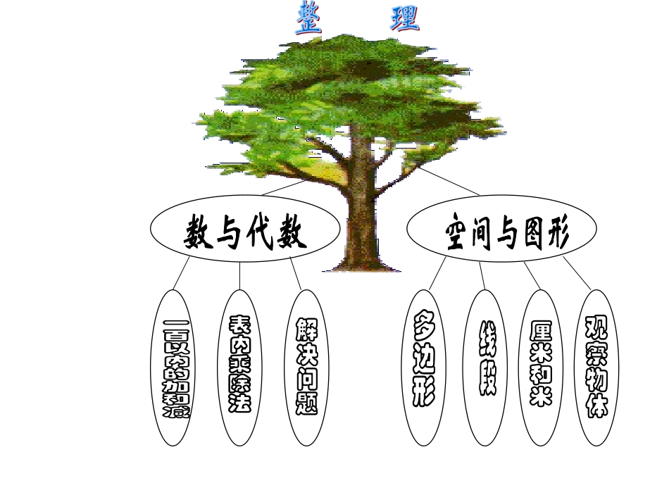 表内复习乘、除法(x新)_第3页
