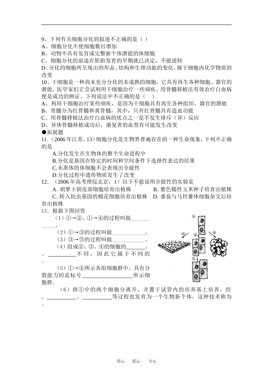 （新人教版必修1）生物：6.2《细胞的分化》学案_第3页