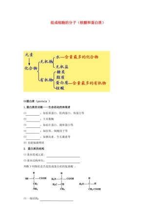 高考生物专题复习 3组成细胞的分子（核酸和蛋白质）学案-人教版高三全册生物学案