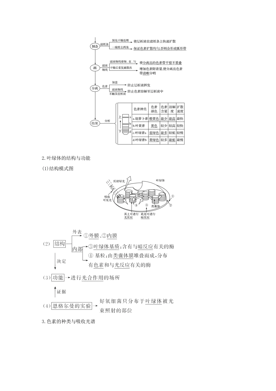 高考生物 第四单元 细胞的能量供应与利用 第8讲 光能的捕获和利用学案 中图版必修1-中图版高三必修1生物学案_第2页
