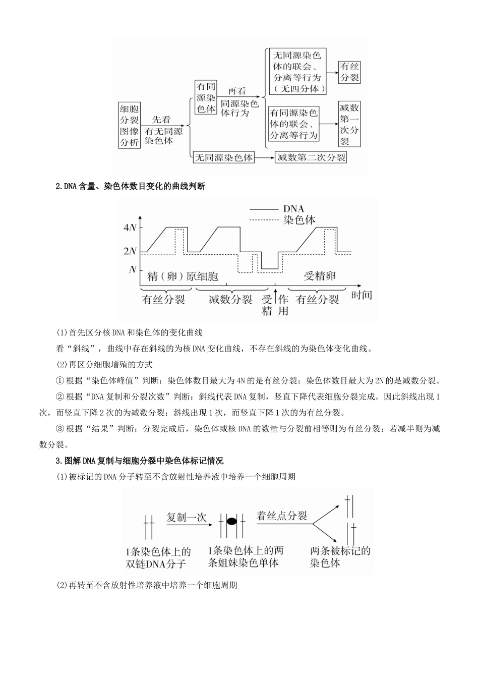 高考生物二轮复习 专题5 细胞的生命历程学案-人教版高三全册生物学案_第2页