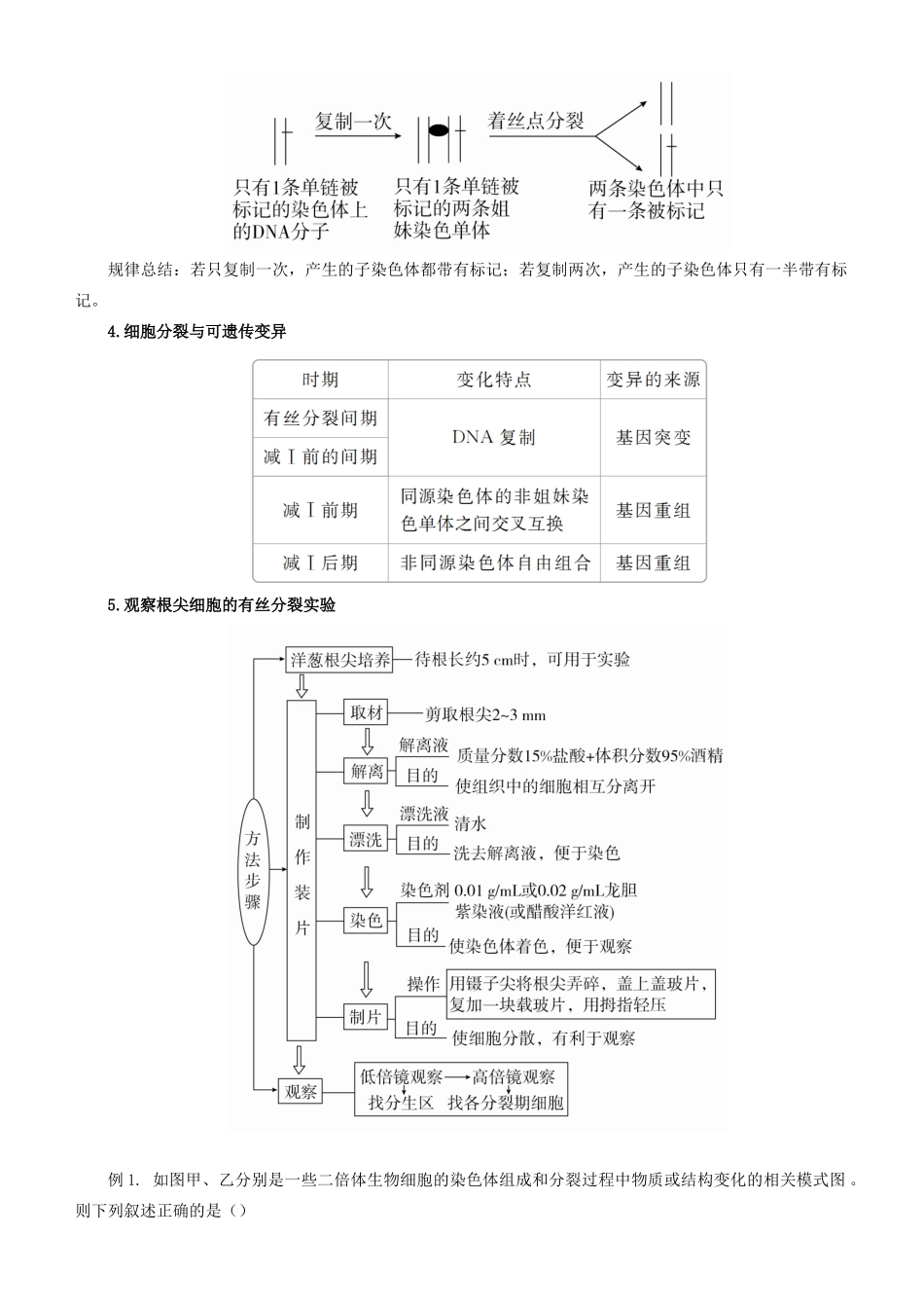 高考生物二轮复习 专题5 细胞的生命历程学案-人教版高三全册生物学案_第3页