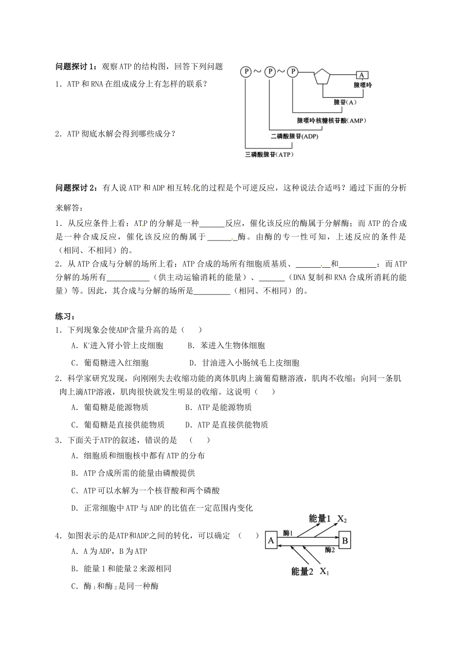 高中生物 5.2 细胞的能量通货——ATP导学案1（无答案）新人教版必修1-新人教版高一必修1生物学案_第2页