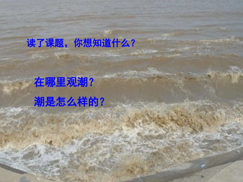 语文S版小学四上《观潮》课件_第2页