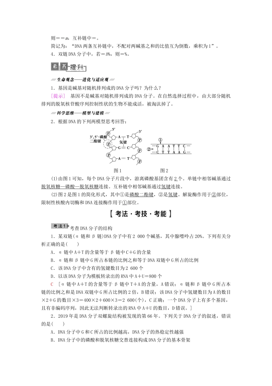 高考生物一轮复习 第6单元 遗传的分子基础 第2讲 DNA分子的结构、复制与基因的本质学案 苏教版必修2-苏教版高三必修2生物学案_第3页
