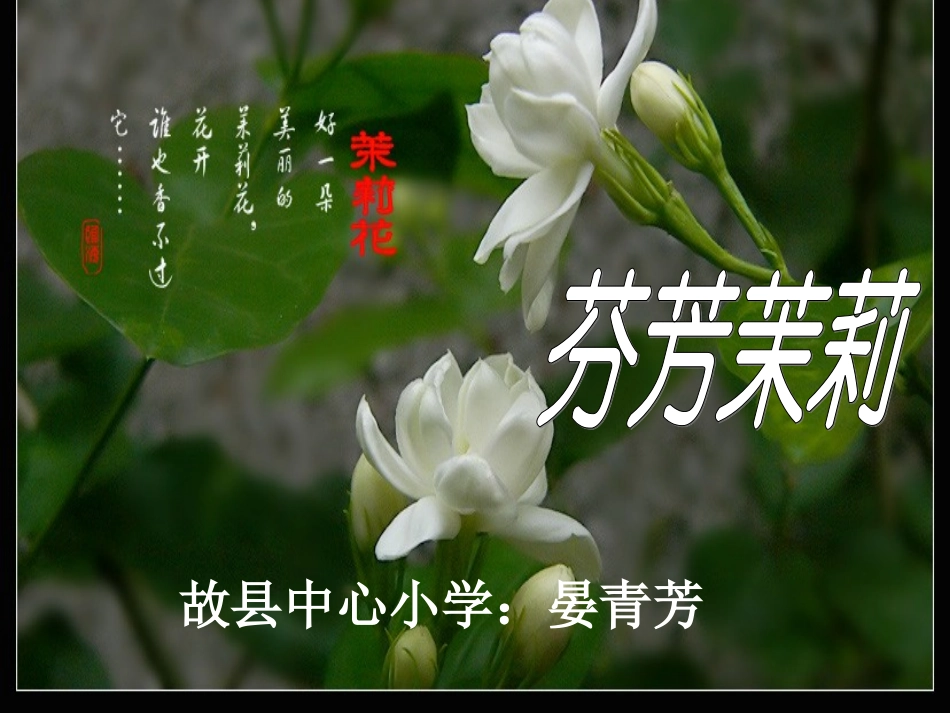 人音版六年级上册茉莉花_第2页