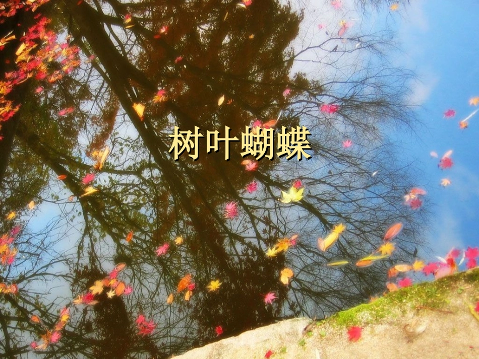 树叶蝴蝶-语言_第1页