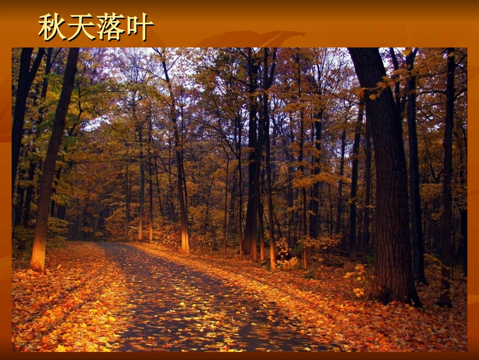 树叶蝴蝶-语言_第2页