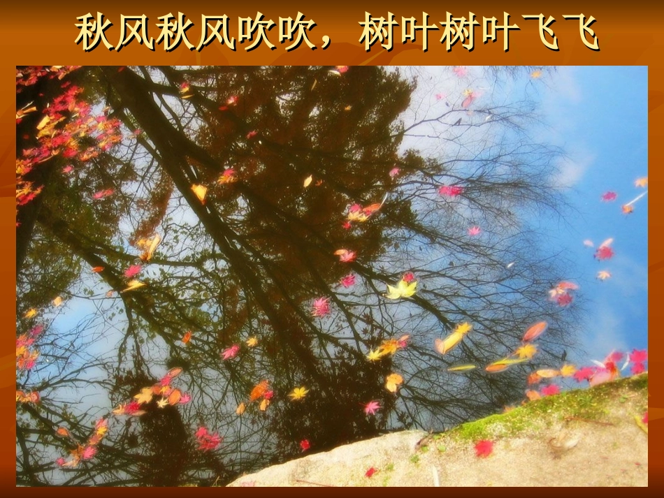 树叶蝴蝶-语言_第3页