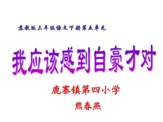 我应该感到自豪才对第二课时